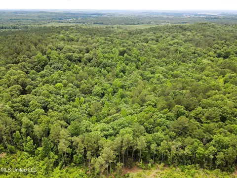 tbd Pepper Town Rd, Eupora, MS 39744 photo 14