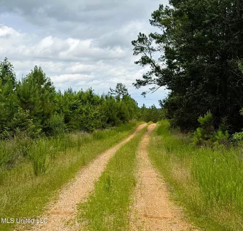 tbd Pepper Town Rd, Eupora, MS 39744 photo 16