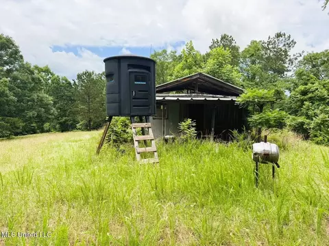 tbd Pepper Town Rd, Eupora, MS 39744 photo 9