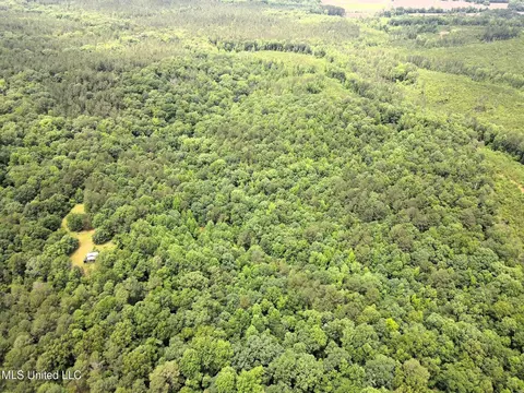 tbd Pepper Town Rd, Eupora, MS 39744 photo 12