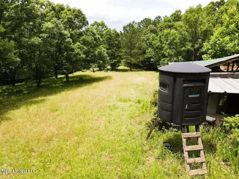 tbd Pepper Town Rd, Eupora, MS 39744