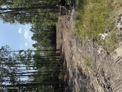 23445 Hwy 603, Kiln, MS 39556