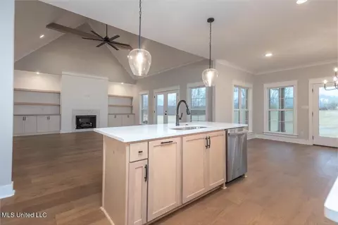 Other - 1601 Ashtons Ln, Hernando, MS 38632 photo 2 of 11