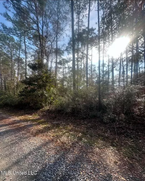 Pine Street, Ocean Springs, MS 39564
