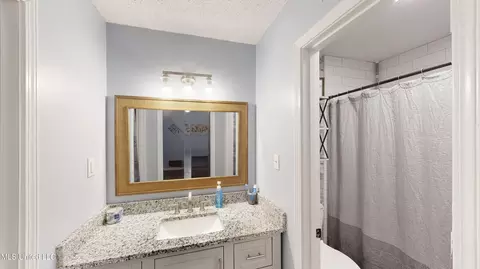 Bath - 3902 S Windermere Dr, Nesbit, MS 38651 photo 2 of 2