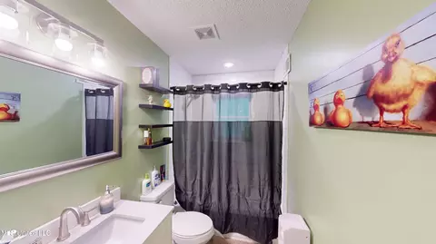 Bath - 3902 S Windermere Dr, Nesbit, MS 38651 photo 1 of 2