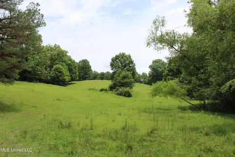 0 Tanner Dr, Hickory Flat, MS 38633 photo 21