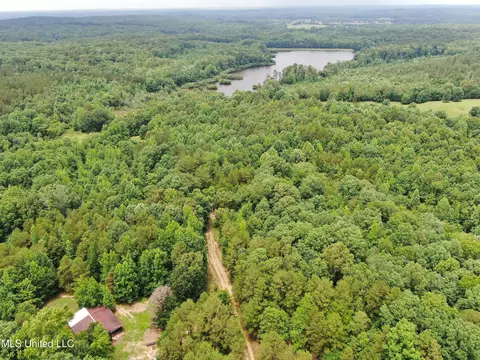 0 Tanner Dr, Hickory Flat, MS 38633 photo 12