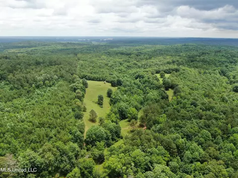 0 Tanner Dr, Hickory Flat, MS 38633 photo 5