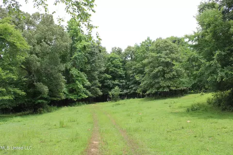 0 Tanner Dr, Hickory Flat, MS 38633 photo 29