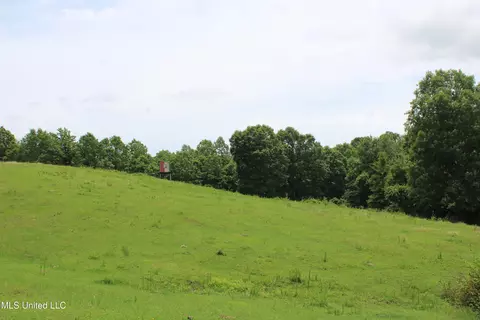 0 Tanner Dr, Hickory Flat, MS 38633 photo 22