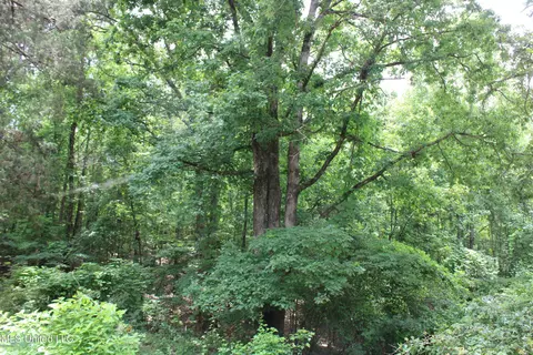 0 Tanner Dr, Hickory Flat, MS 38633 photo 32