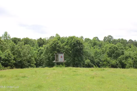 0 Tanner Dr, Hickory Flat, MS 38633 photo 23