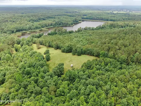 0 Tanner Dr, Hickory Flat, MS 38633 photo 10