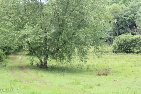 0 Tanner Dr, Hickory Flat, MS 38633 photo 16