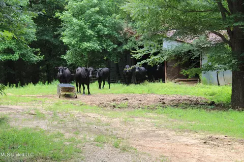 0 Tanner Dr, Hickory Flat, MS 38633 photo 14