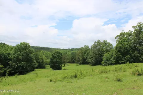 0 Tanner Dr, Hickory Flat, MS 38633 photo 26