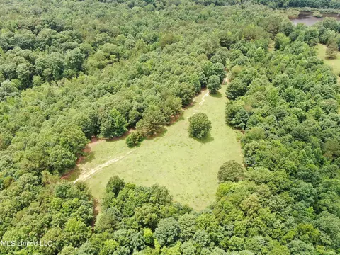 0 Tanner Dr, Hickory Flat, MS 38633 photo 11