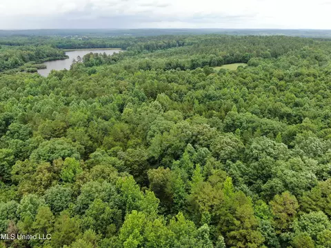 0 Tanner Dr, Hickory Flat, MS 38633 photo 13