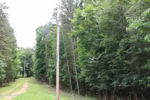 0 Tanner Dr, Hickory Flat, MS 38633 photo 34