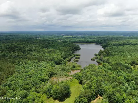 0 Tanner Dr, Hickory Flat, MS 38633 photo 2