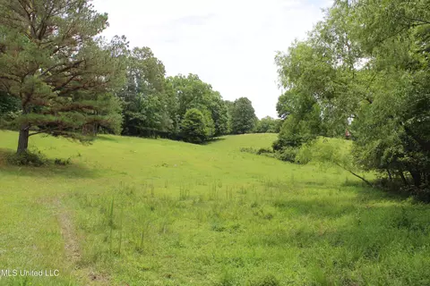 0 Tanner Dr, Hickory Flat, MS 38633 photo 20
