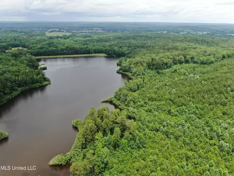 0 Tanner Dr, Hickory Flat, MS 38633 photo 6