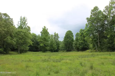 0 Tanner Dr, Hickory Flat, MS 38633 photo 31