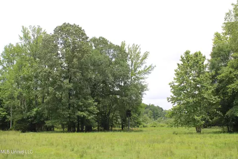 0 Tanner Dr, Hickory Flat, MS 38633 photo 28