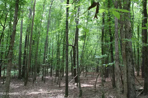 0 Tanner Dr, Hickory Flat, MS 38633 photo 18