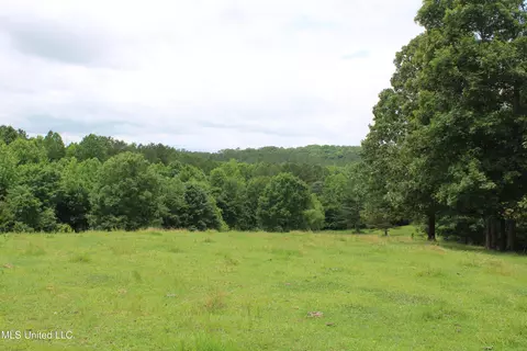 0 Tanner Dr, Hickory Flat, MS 38633 photo 24