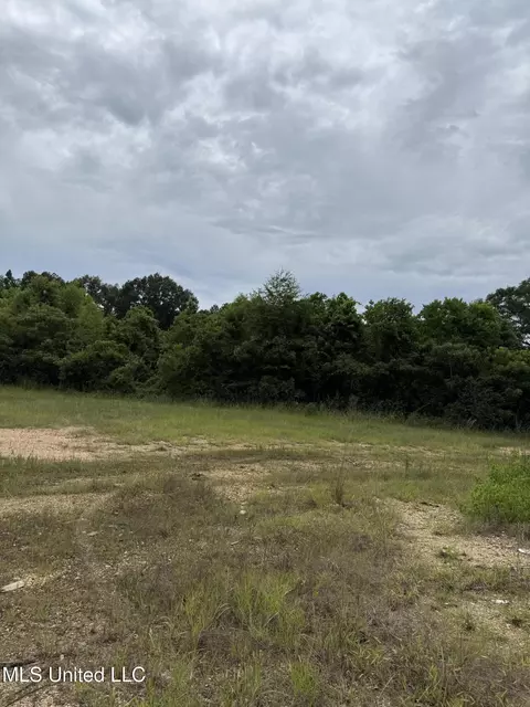 No Us-51, Mccomb, MS 39648 photo 30
