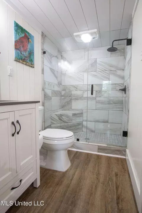 Bath - 65 Vaiden Dr, Hernando, MS 38632 photo 2 of 3