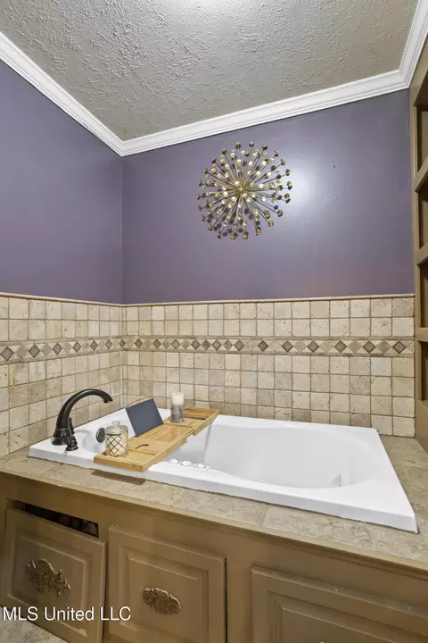 Bath - 316 Fox Holw, Canton, MS 39046 photo 3 of 4
