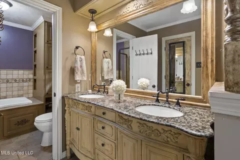 Bath - 316 Fox Holw, Canton, MS 39046 photo 2 of 4