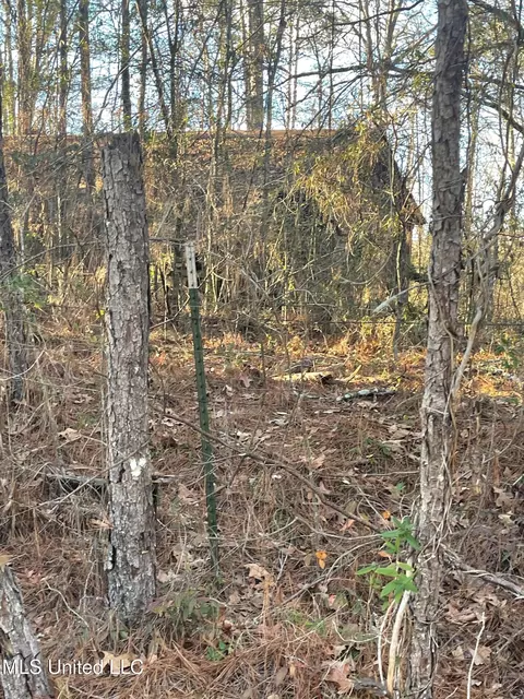 1863 Robinson Rd, Canton, MS 39046 photo 1