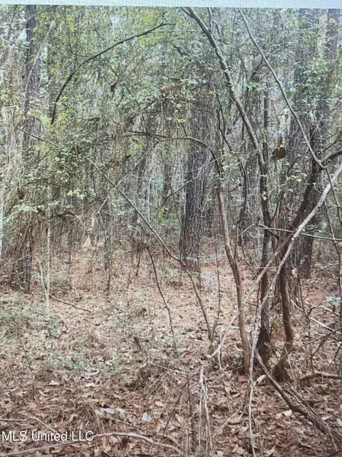 0 Lassabe Rd, Long Beach, MS 39560 photo 6