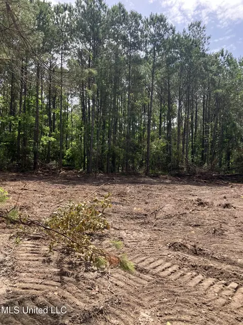 0 Lassabe Rd, Long Beach, MS 39560 photo 4