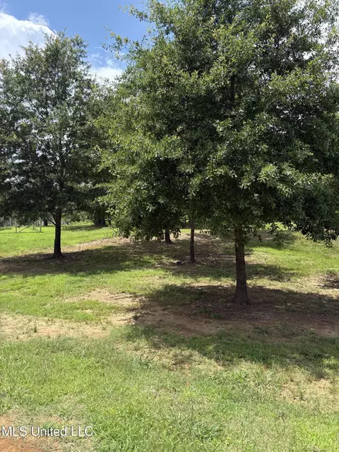 126 Deerfield Trce, Coldwater, MS 38618 photo 27