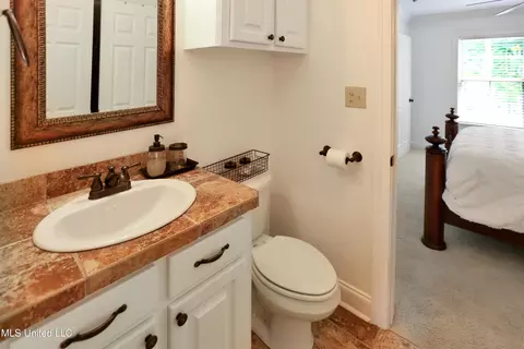 Bath - 328 Ingleside Dr, Madison, MS 39110 photo 4 of 7