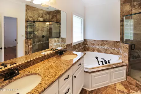 Bath - 328 Ingleside Dr, Madison, MS 39110 photo 3 of 7