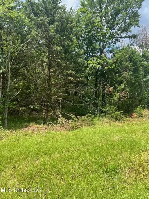 154 Brooks Rd, Canton, MS 39046 photo 1