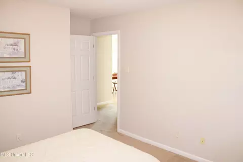 Other - 3454 W Houglass Dr, Hernando, MS 38632 photo 3 of 6