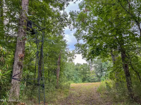tbd Hurricane Rd, Utica, MS 39175 photo 36