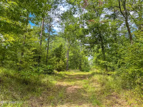 tbd Hurricane Rd, Utica, MS 39175 photo 42