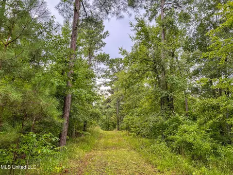 tbd Hurricane Rd, Utica, MS 39175 photo 24