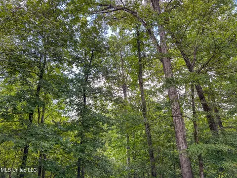 tbd Hurricane Rd, Utica, MS 39175 photo 30