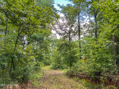 tbd Hurricane Rd, Utica, MS 39175 photo 19