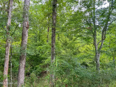 tbd Hurricane Rd, Utica, MS 39175 photo 21