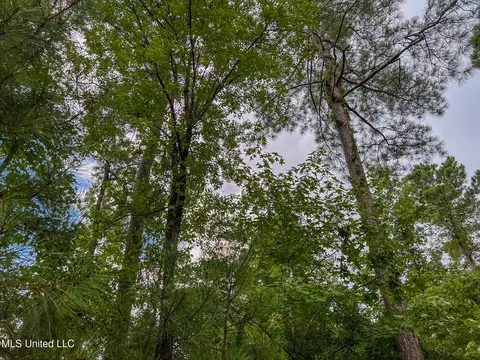 tbd Hurricane Rd, Utica, MS 39175 photo 25